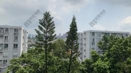 High Floor, Block B02 ( 19 Fa Po Street ), Phase B, Village Gardens